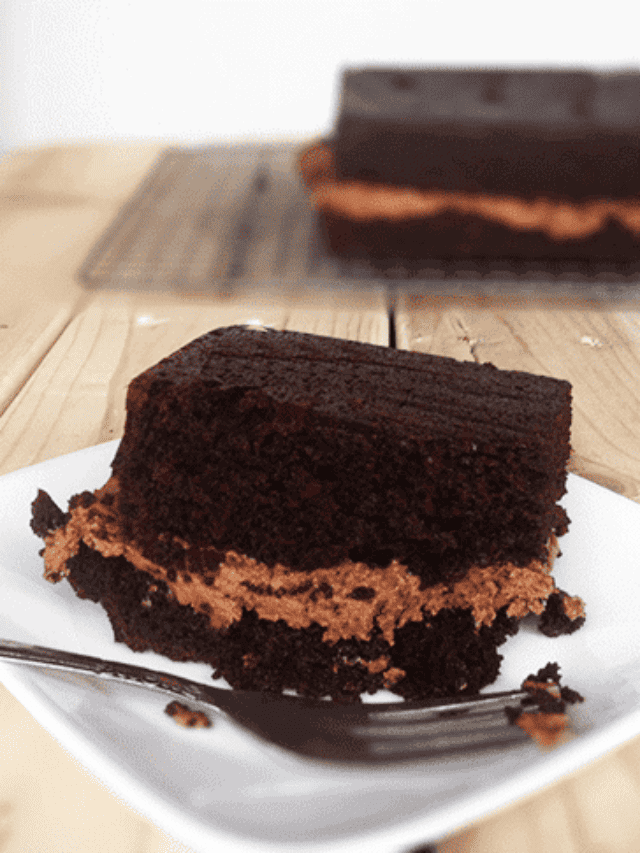 Chocolate Stout Cake with Chocolate Peanut Butter Frosting Story