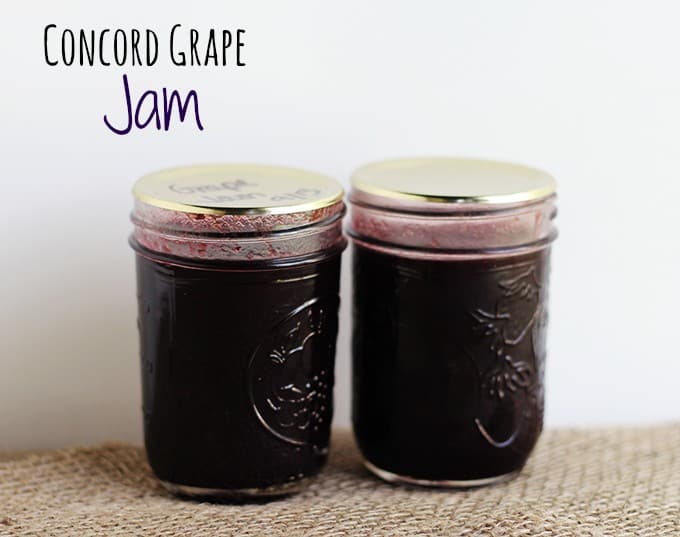 Two jars of concord grape jam.