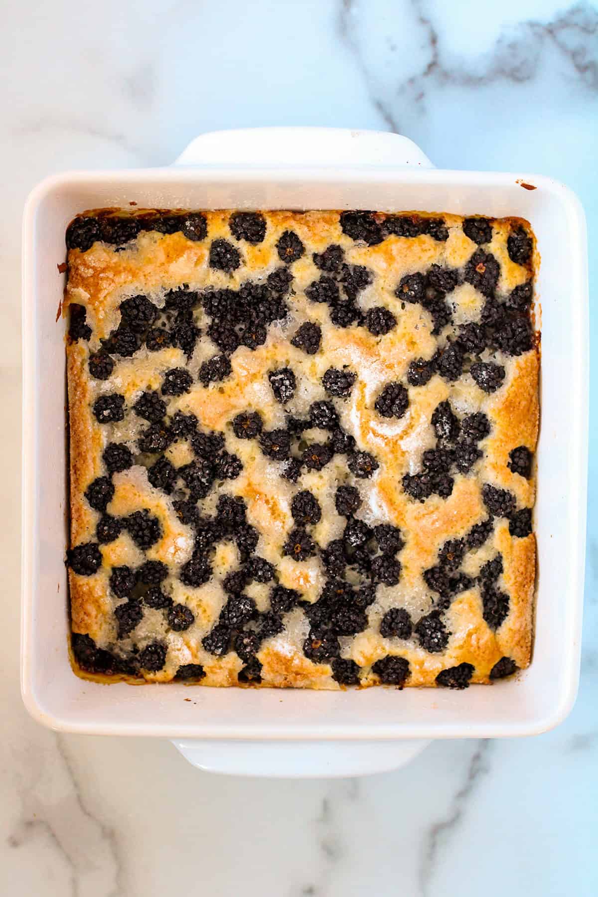 Square baking dish filled with golden-brown blackberry cobbler, topped with scattered blackberries on a marble surface.