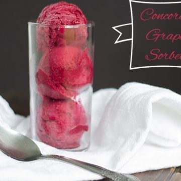 Concord Grape Sorbet