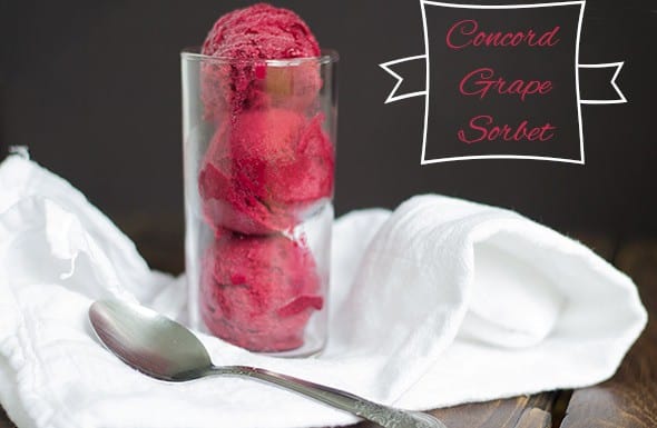 Concord Grape Sorbet