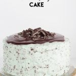Mint chip cake topped with chocolate chips.