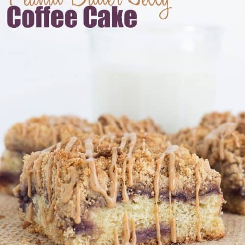 Peanut Butter Jelly Coffee Cake Cookie Dough and Oven Mitt