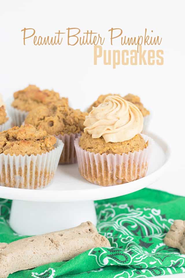 Peanut Butter Pumpkin Pupcakes on a white plate.