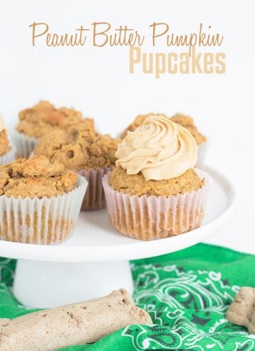 Peanut Butter Pumpkin Pupcakes with Cream Cheese Frosting