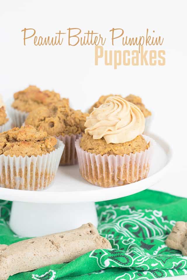 Peanut Butter Pumpkin Pupcakes