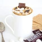 S'mores-inspired mug cake with marshmallows and chocolate.