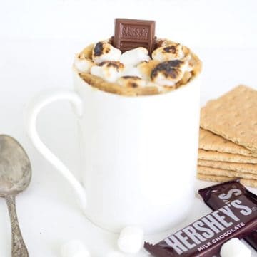 S'mores-inspired mug cake with marshmallows and chocolate.