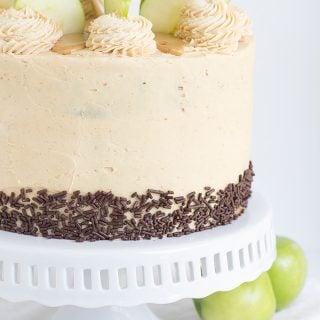 Apple cake with chocolate frosting.