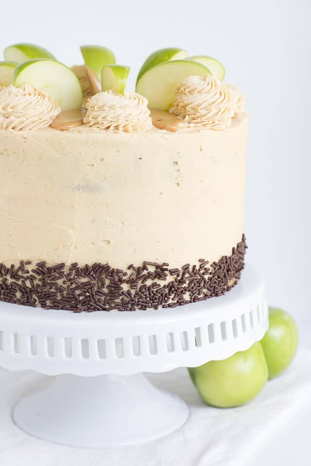 Apple cake with chocolate frosting.