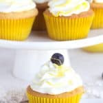Boozy Blueberry Lemon Cupcakes - homemade blueberry filling, lemon cupcakes with a punch of limoncello, and limoncello frosting all in the perfect little package.