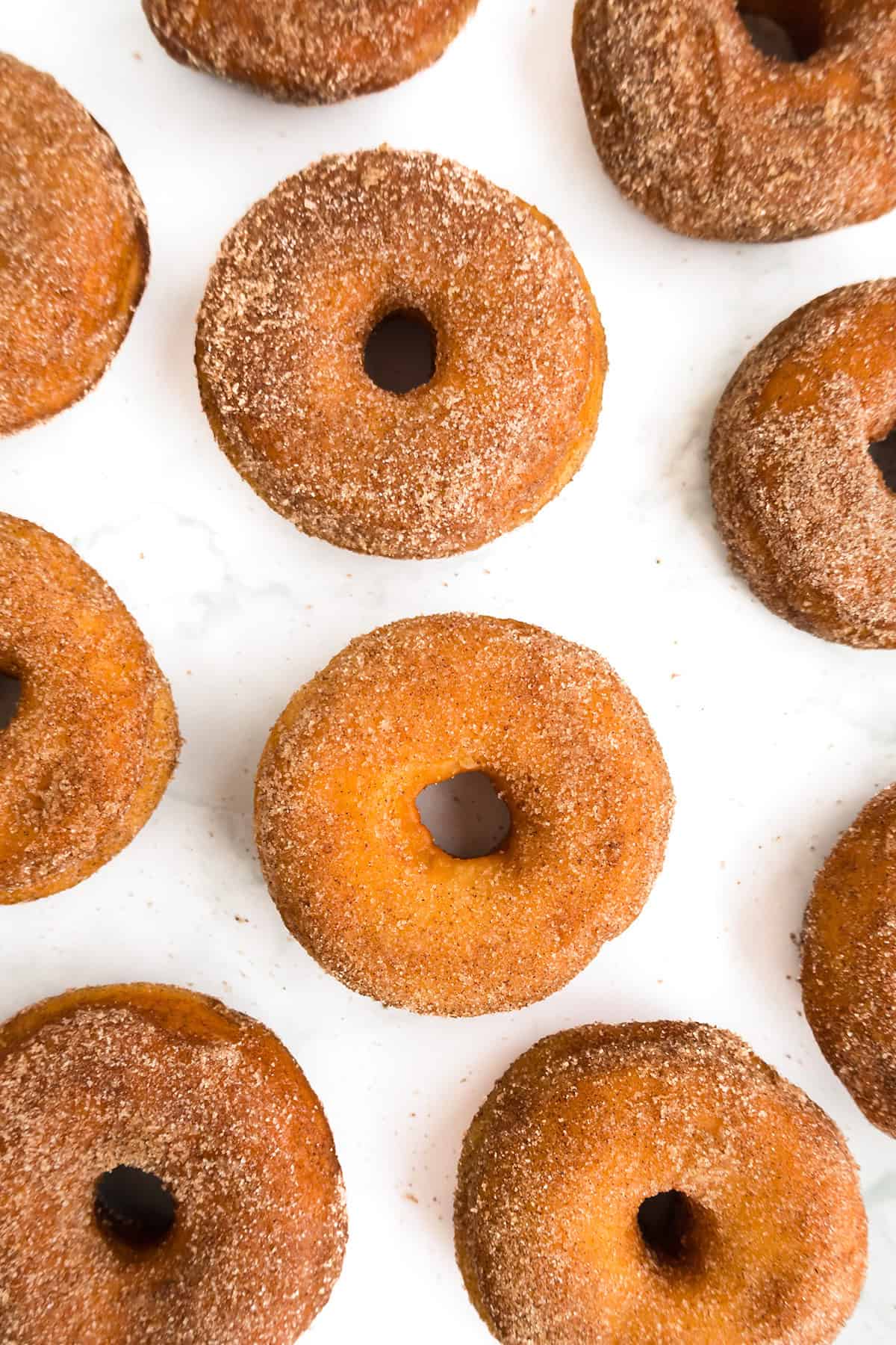 A top-view of several cinnamon sugar potato donuts arranged on a white surface.