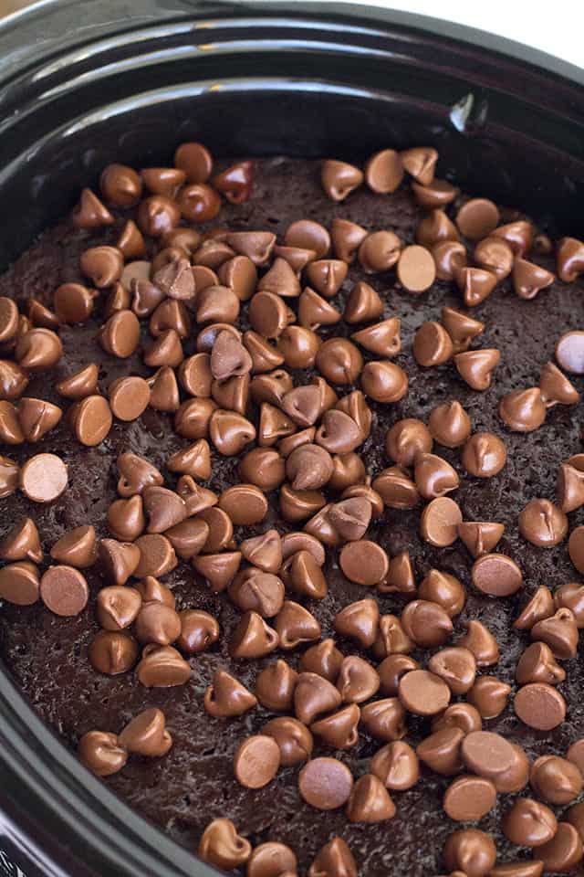 chocolate lava cake with chocolate chips, baked in a slow cooker