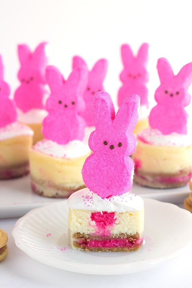 Mini Peeps Cheesecakes - The mini Easter cheesecakes start with a peeps oreo bottom, a vanilla cheesecake layer with a dot of pink in the center for a pop of color, and topped with marshmallow creme, sprinkles and a peeps bunny!