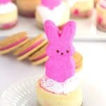 Mini Peeps Cheesecakes - The mini Easter cheesecakes start with a peeps oreo bottom, a vanilla cheesecake layer with a dot of pink in the center for a pop of color, and topped with marshmallow creme, sprinkles and a peeps bunny!