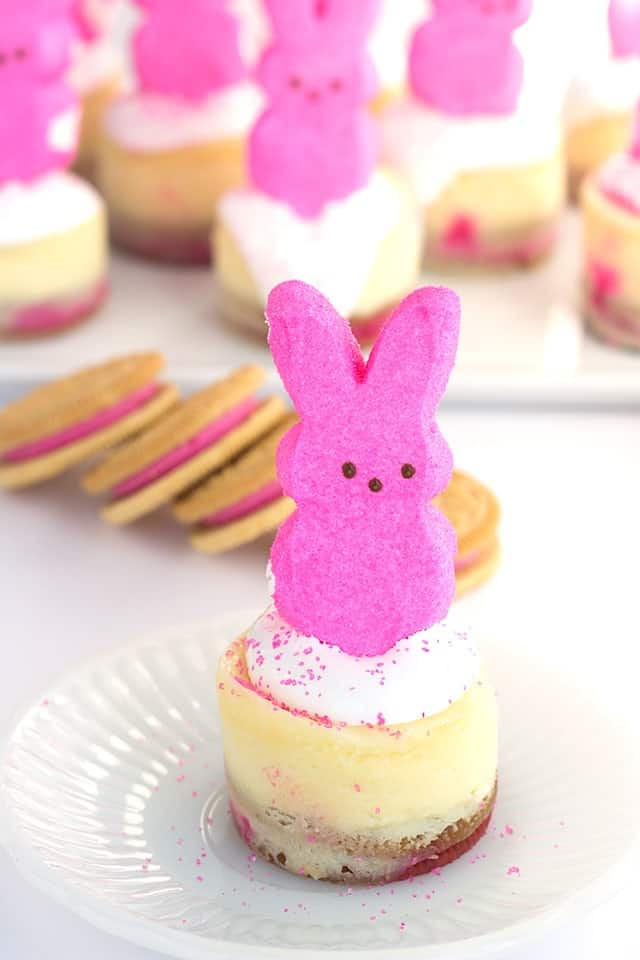 Mini Peeps Cheesecakes - The mini Easter cheesecakes start with a peeps oreo bottom, a vanilla cheesecake layer with a dot of pink in the center for a pop of color, and topped with marshmallow creme, sprinkles and a peeps bunny!