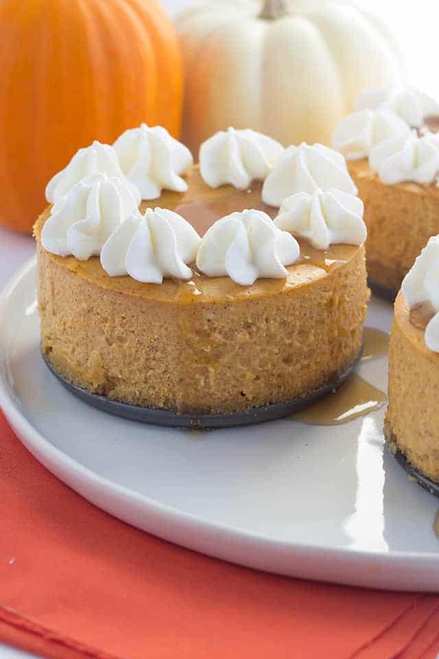 Three mini pumpkin cheesecakes topped with whipped cream on a plate.