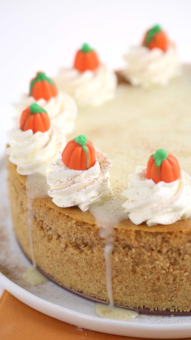 Pumpkin Cheesecake - Thick, creamy cheesecake stuffed full of all the right spices for a pumpkin pie! To finish the pumpkin cheesecake off, I added a maple white chocolate ganache, whipped cream, a dusting of cinnamon, and cute little candy pumpkins! This would be a hit for Thanksgiving dessert!