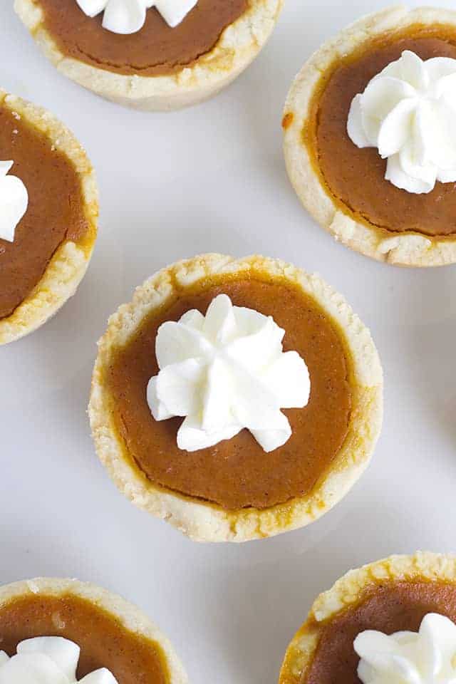 Mini Maple Pumpkin Pies - these adorable mini pumpkin pies have a hint of maple and loads of pumpkin spice! Top them with some fresh whipped cream and serve them at your next Thanksgiving get-together!