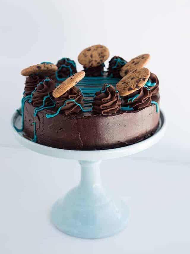 Cookie Monster Cheesecake Story