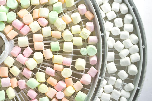 Dehydrated Marshmallows - Learn how to make dehydrated marshmallows today! They make a great snack to pop in your mouth, baking with, or to top hot cocoa with. Don't forget to sprinkle the dehydrate marshmallows on your cereal for an extra sweet crunch too. #cookiedoughandovenmitt #dehydrator #snacks #snackideas #marshmallow