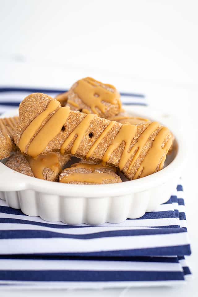 dog biscuits in a bowl