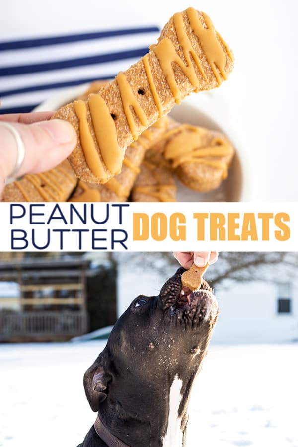 Homemade peanut butter dog treats.