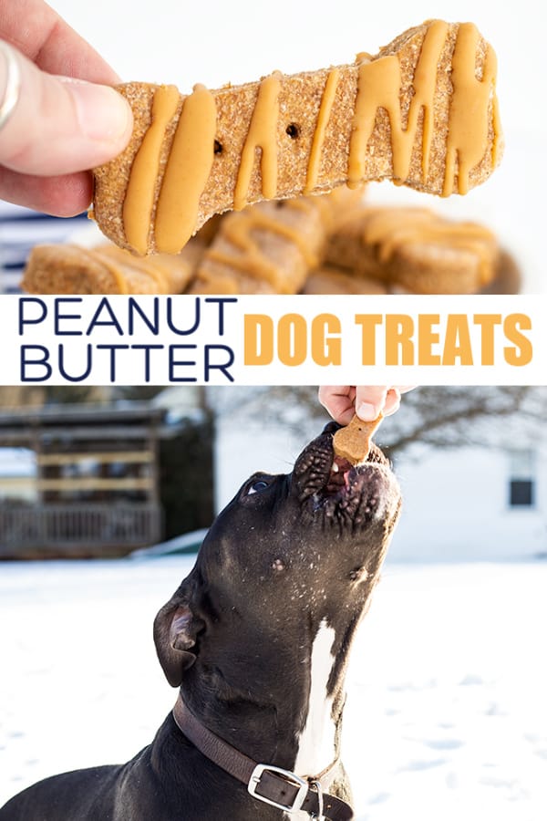 Homemade peanut butter treats for dogs.