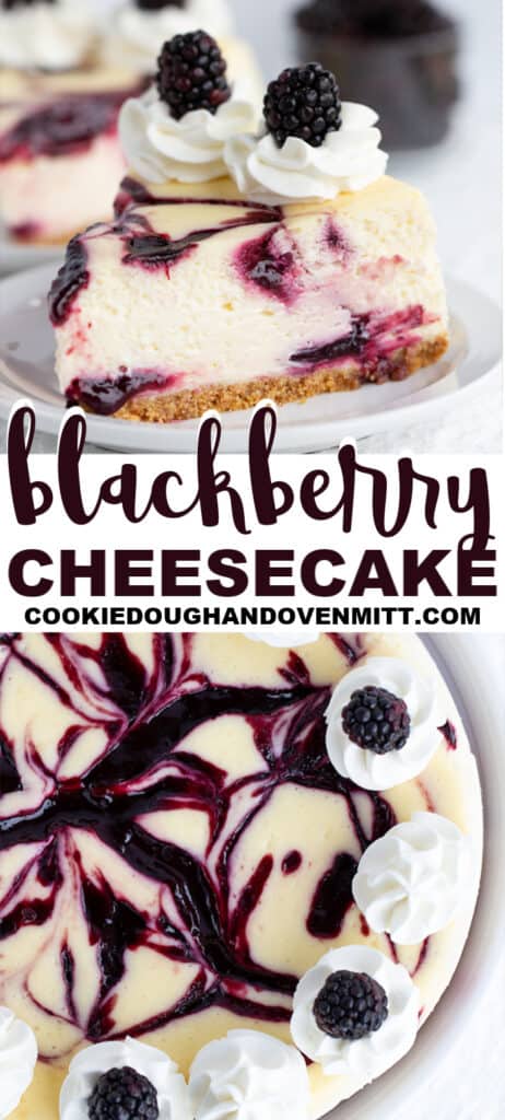 Blackberry cheesecake topped with homemade whipped cream and fresh blackberries.