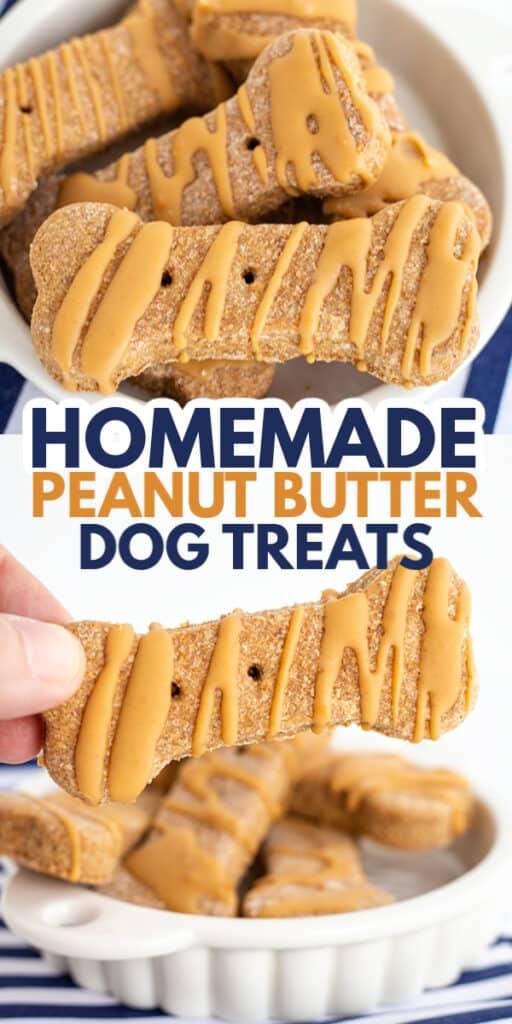 collage of photos for pinterest showing the dog treats with text in the middle