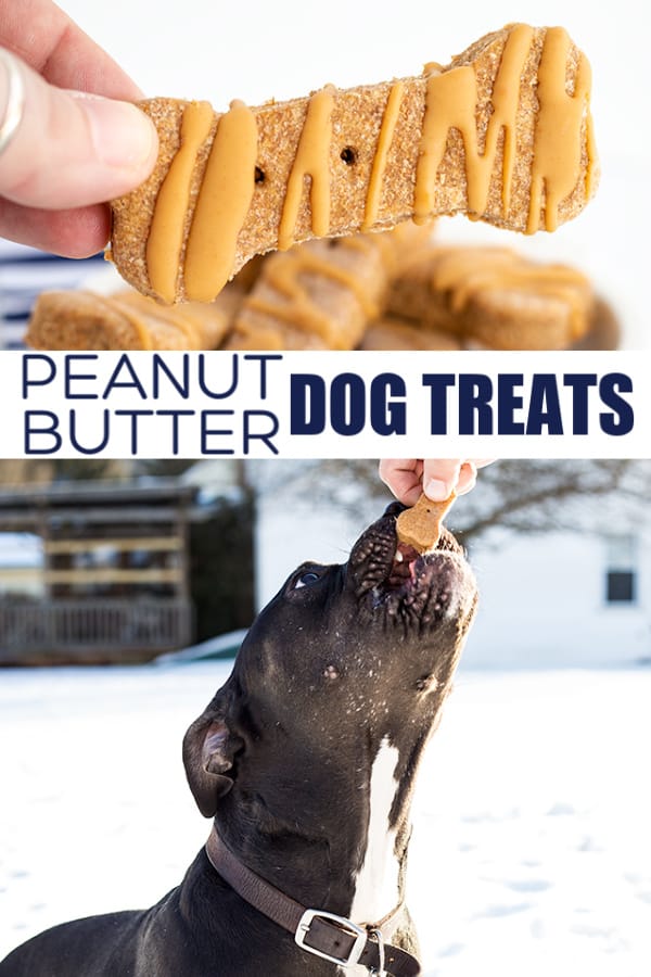 Homemade peanut butter dog treats.