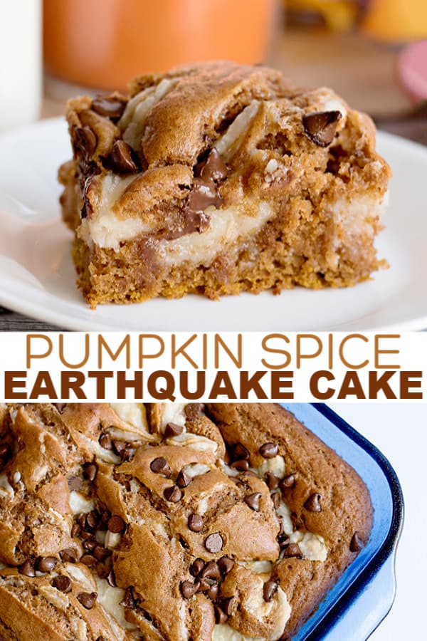 Pumpkin earthquake cake.