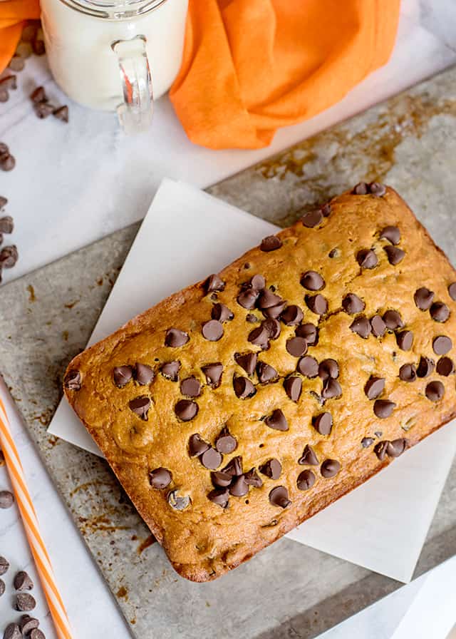 whole loaf of pumpkin chocolate chip bread on parchment paper and sheet pan