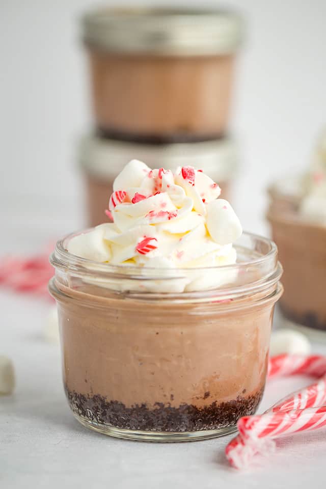 Sous Vide Peppermint Hot Chocolate Cheesecake with whipped cream, marshmallows, and crushed peppermint candies on top. Candy canes around cheesecakes