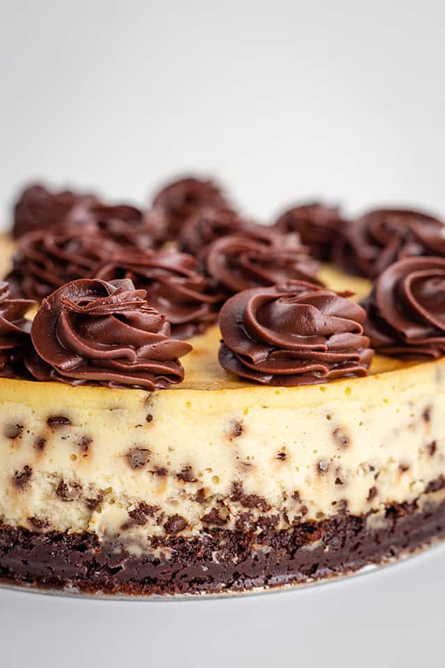 whole brownie chocolate chip cheesecake on a white background