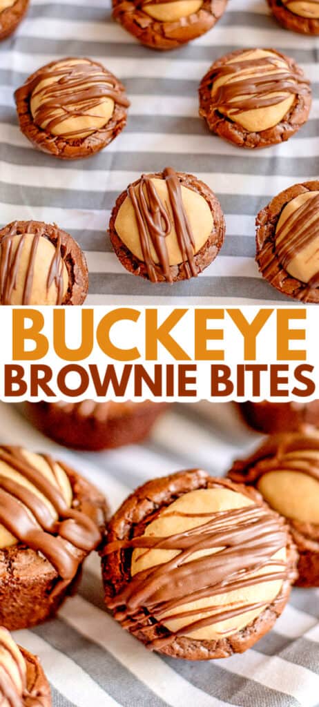 Buckeye brownie bites on a plate.