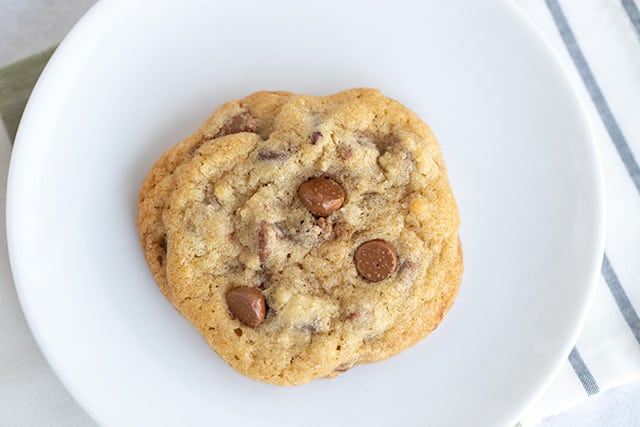 a single chocolate chip cookie freshly baked on a white dessert plate