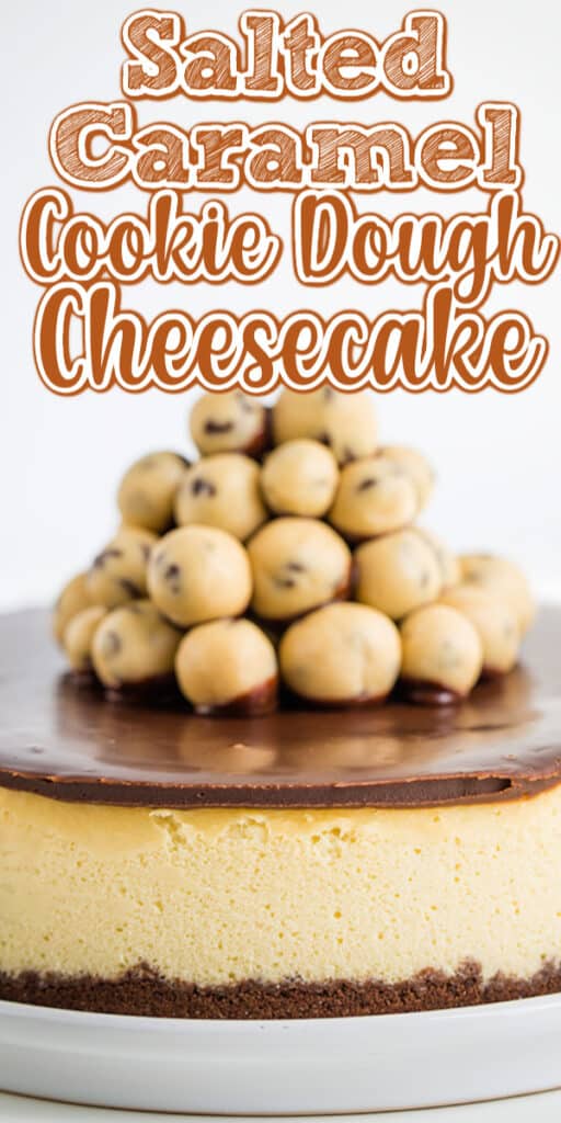 pinterest closeup whole cheesecake photo with text