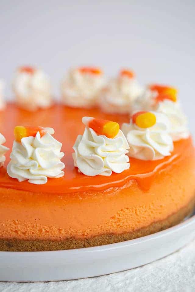 whole candy corn cheesecake on a white plate with whipped cream and candy on top