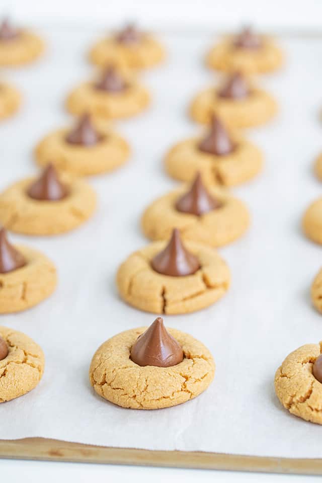 close up of peanut butter blossom cookie on a parchment-lined baking tray