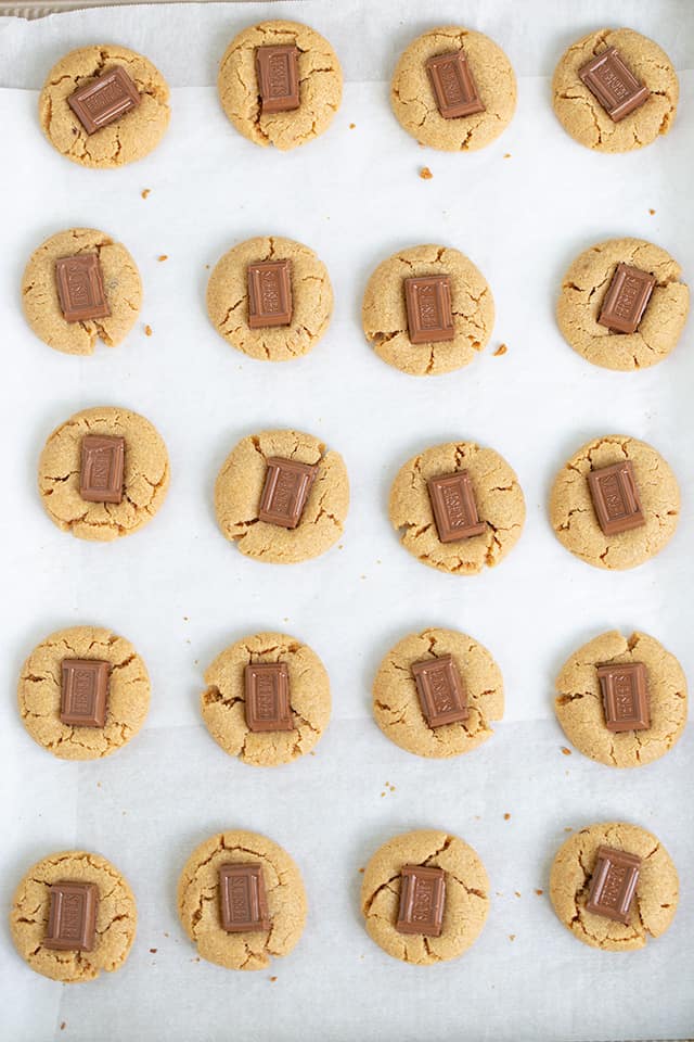 overhead photo of peanut butter cookies on a parchment lined baking sheet in 4 rows of 5