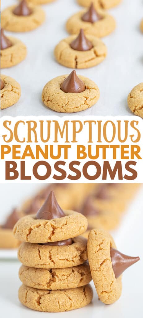 pinterest collage of peanut butter blossoms with text in the center