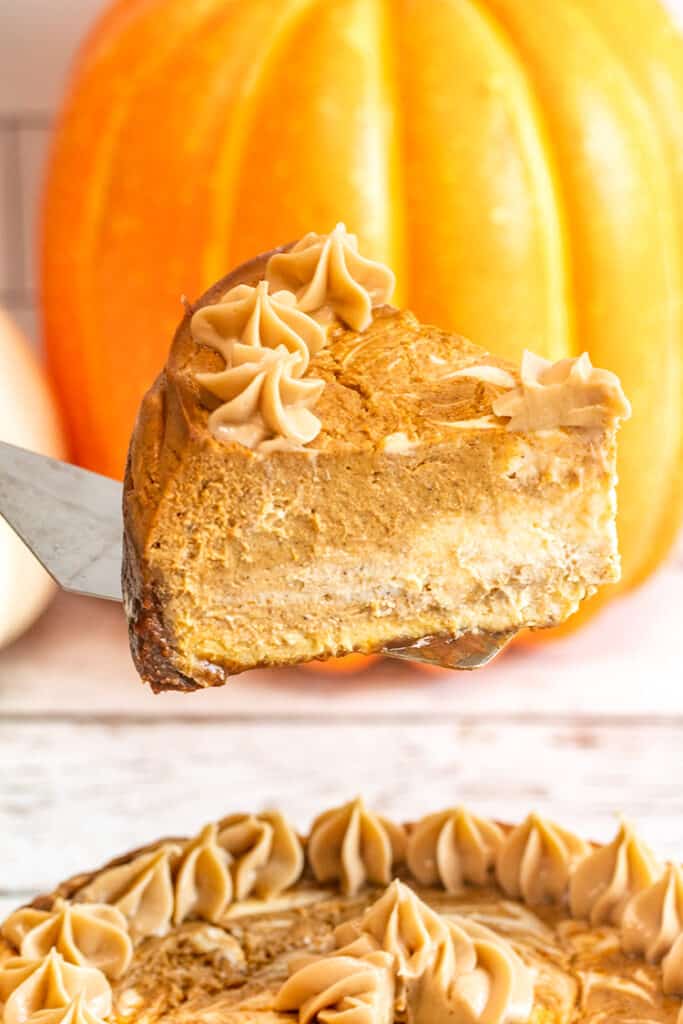 slice of pumpkin cheesecake on a serving utensil with a pumpkin behind it
