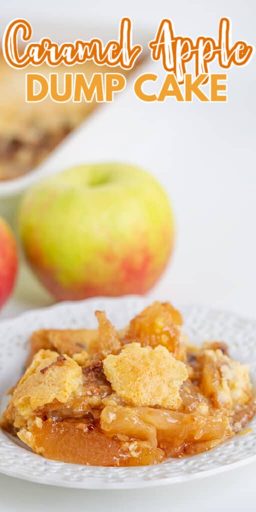 close up image of a white plate of dump cake with the recipe name at the top