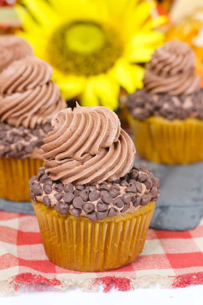 cupcakes on a red checkered fabric with a yellow flower behind it