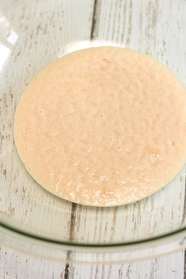 bowl of yeast and water that's been activated