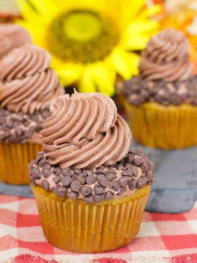 Pumpkin Chocolate Chip Cupcakes Story