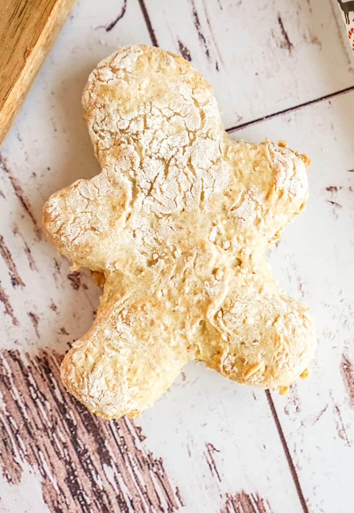 zoomed in image of dog treat on a white surface