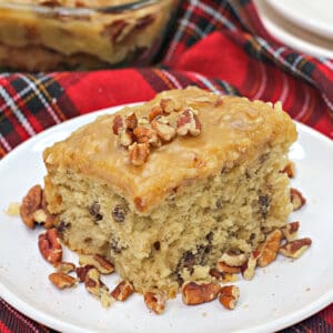 square image of a upclose slice of cake with pecans around it on a white plate