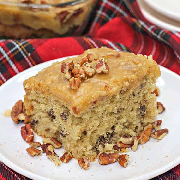 square image of a upclose slice of cake with pecans around it on a white plate